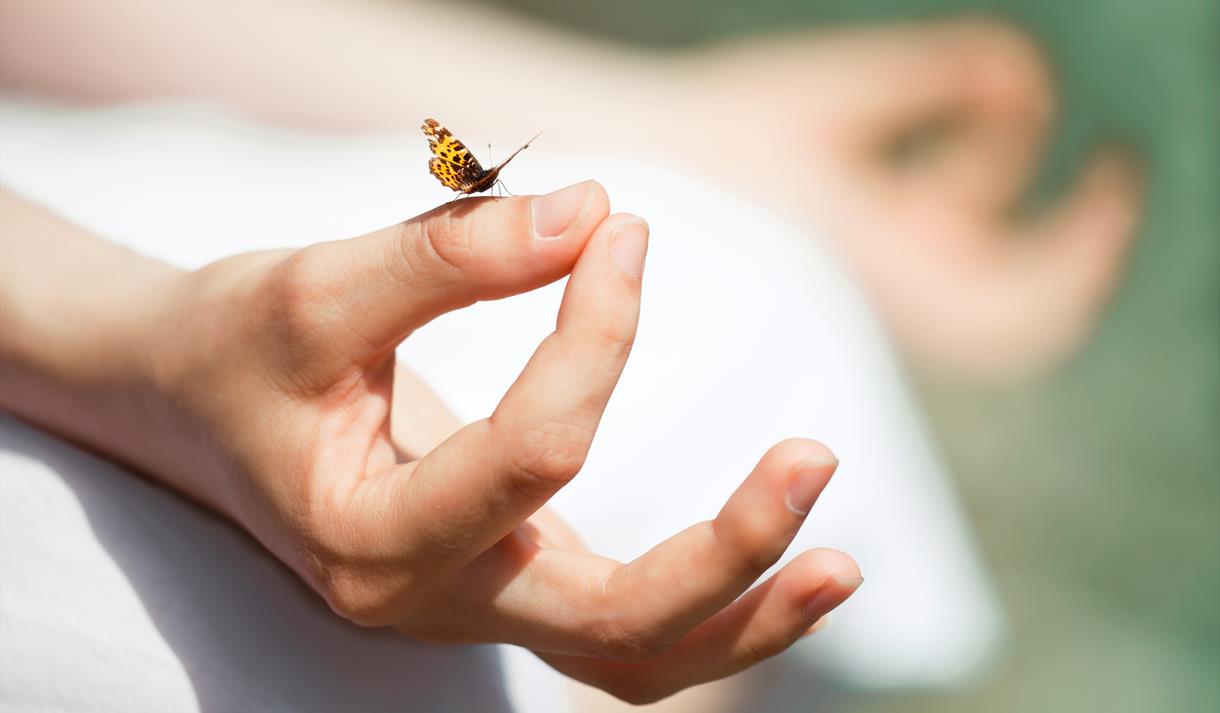 Mindfulness, Breathwork & Lifestyle Coaching Session