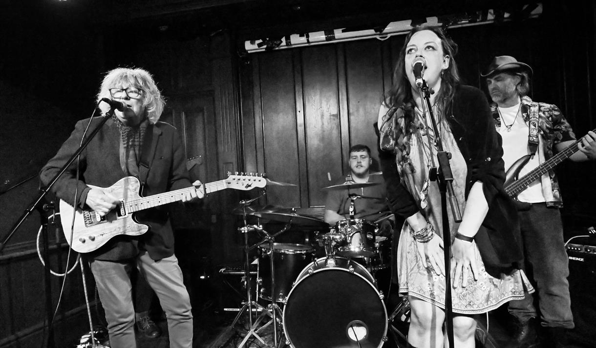 Mora & the Fabulous Wonderfuls and Support Act, Sarah Tutin at Horse + Bamboo