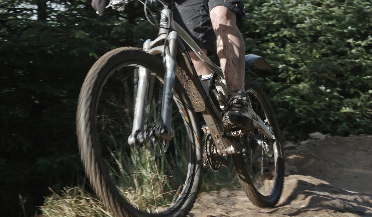 Witton Park Pump Track