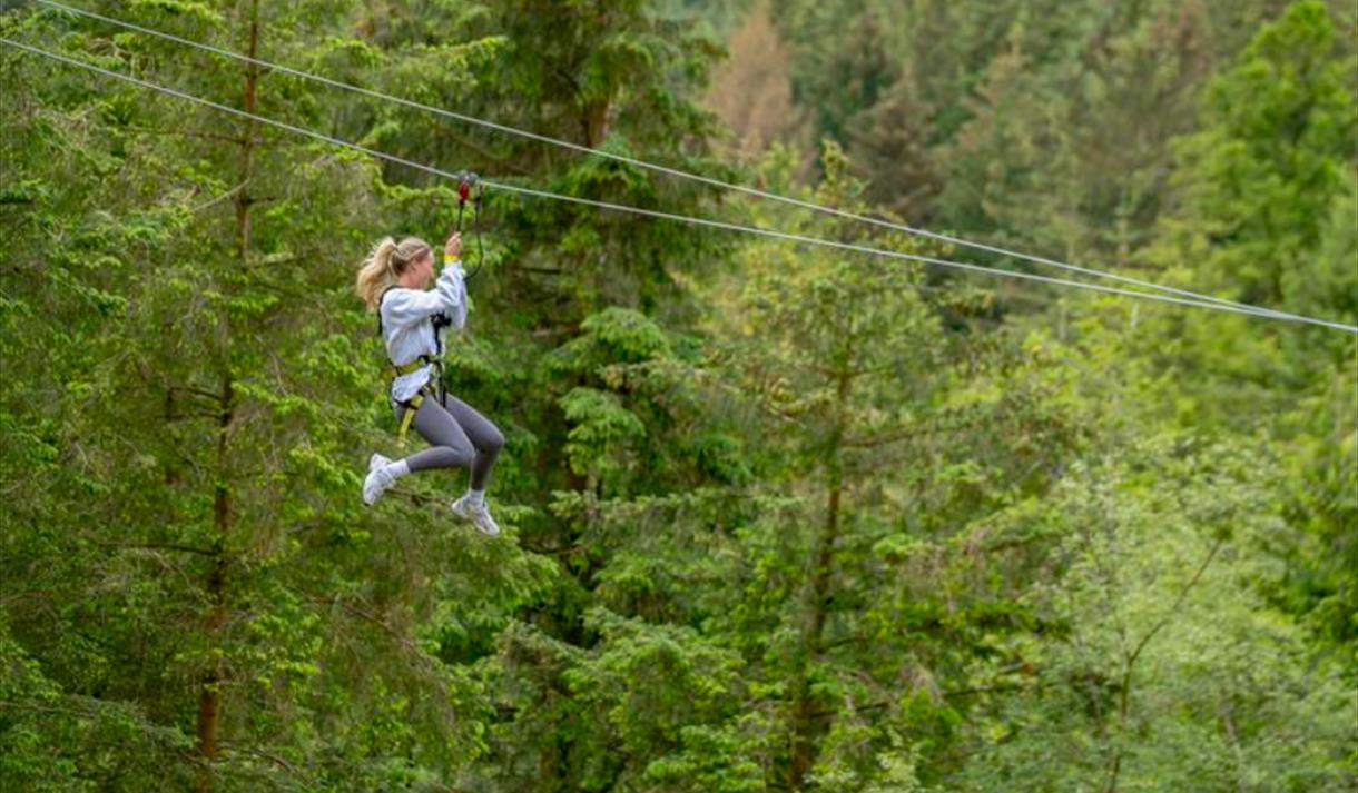 October Half Term at Go Ape Rivington