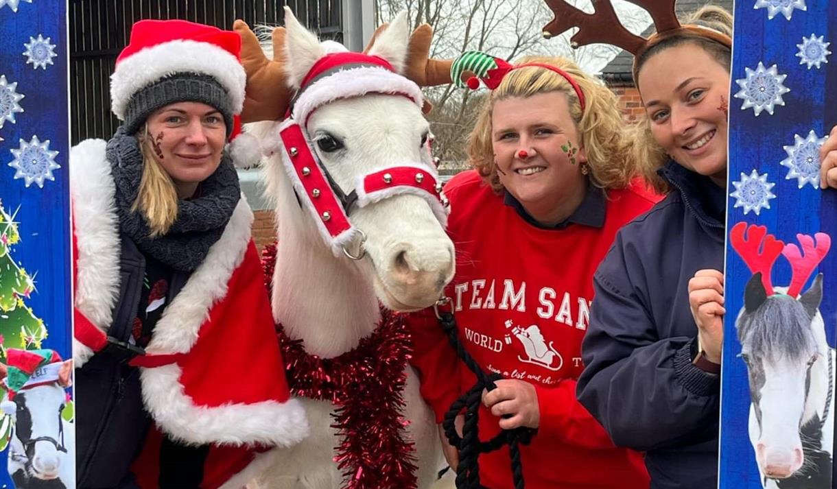 Penny Farm Christmas Fair 2023