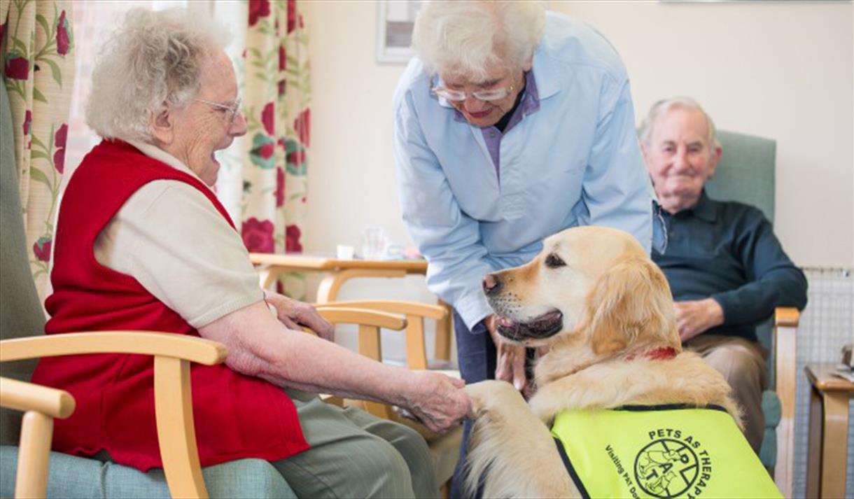 Pets as Therapy Family Fun Day