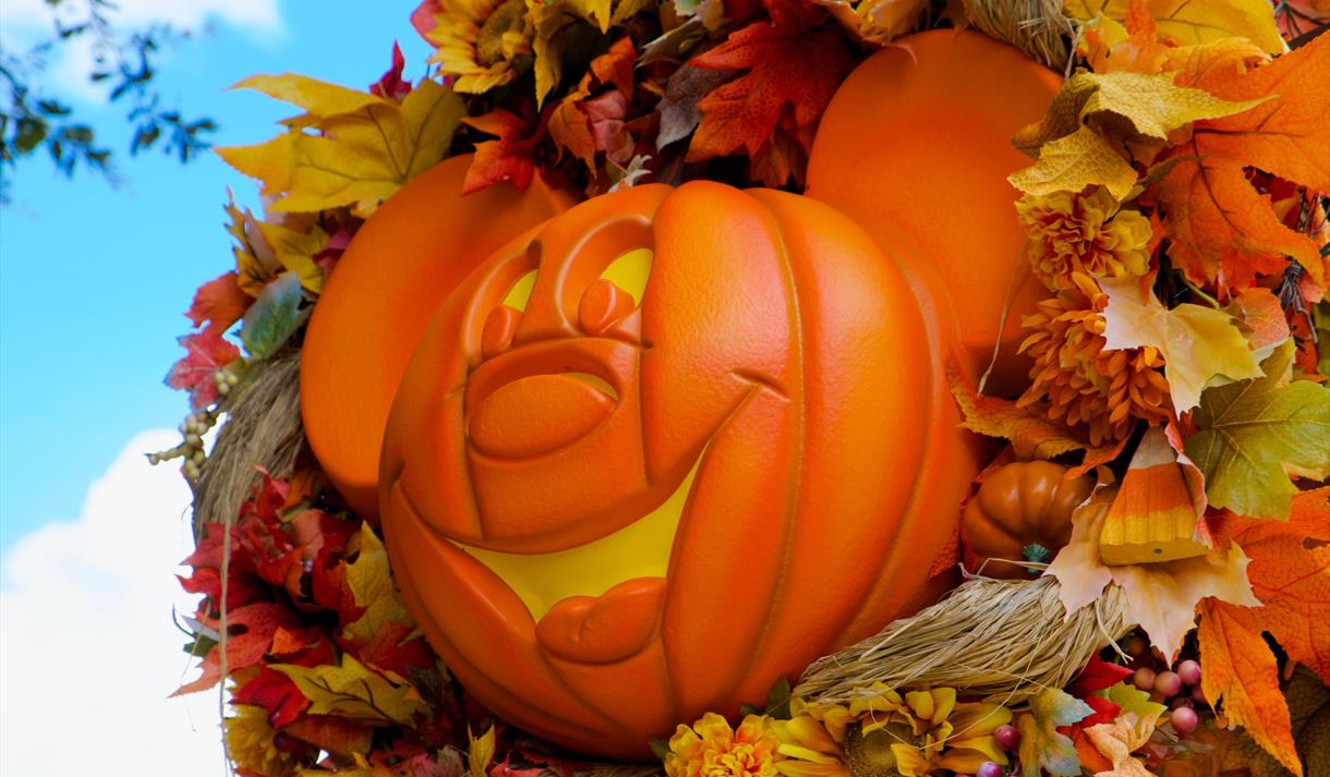 Pumpkin Trail at Edgeside Park