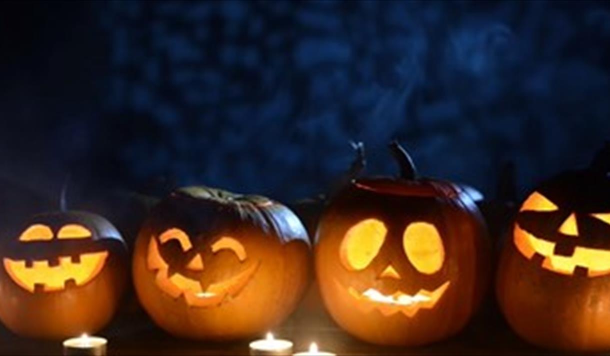 Pumpkin Trail at Edgeside Park