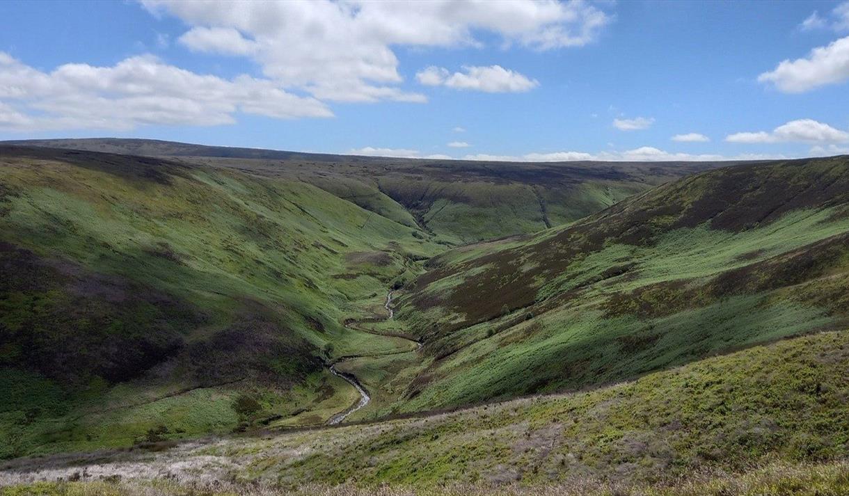 RSPB Moorland Safari
