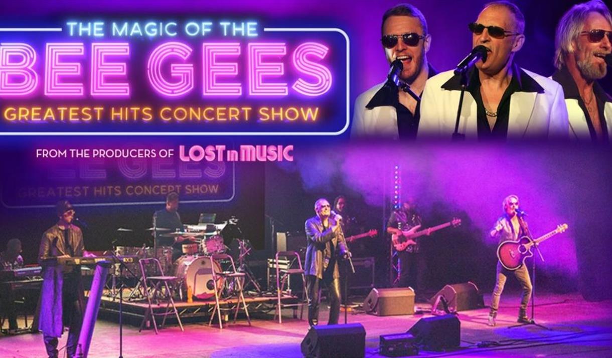 The Magic of the Bee Gees: Greatest Hits Concert Show