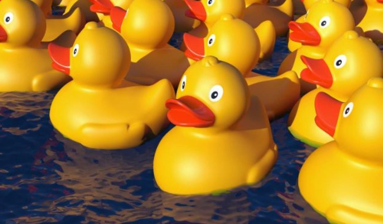 The Great Ribby Duck Race at Ribby Hall Village