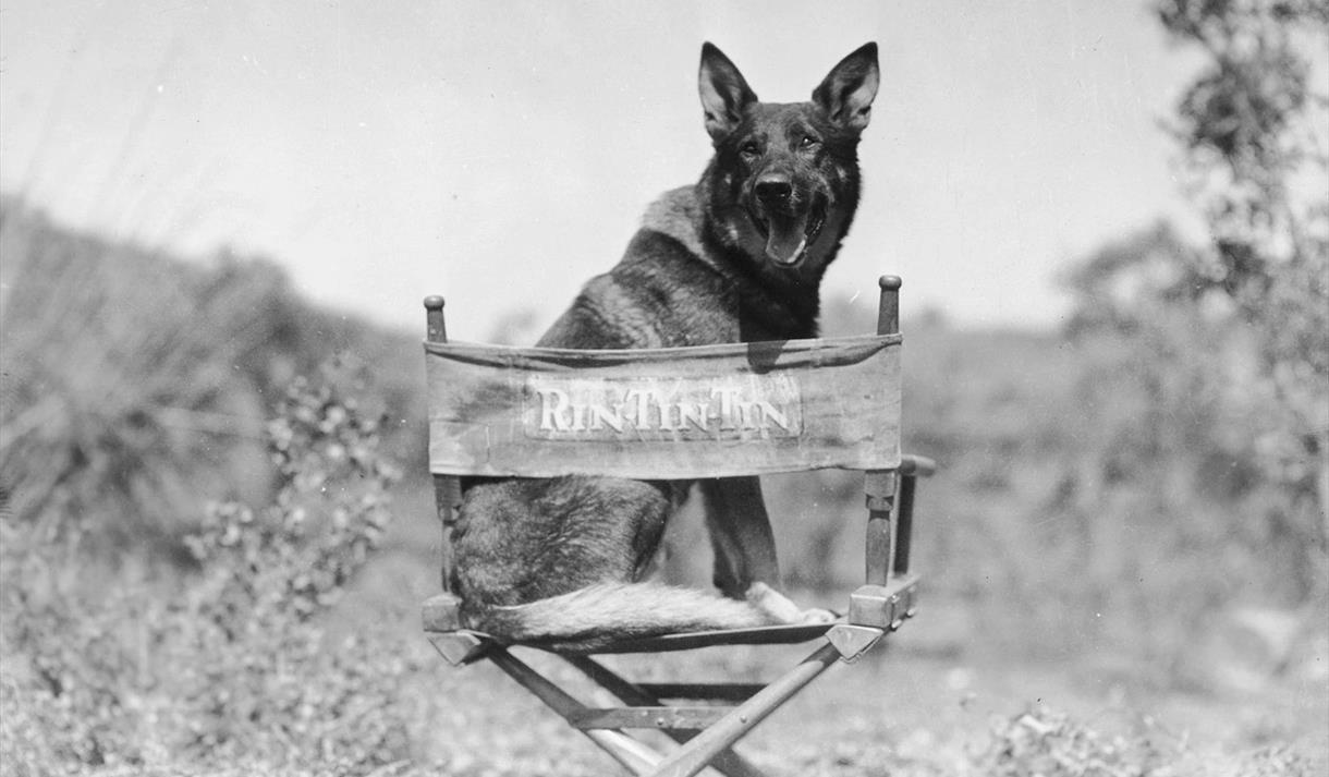 Rin-Tin-Tin and Friend: Bring your Dog!