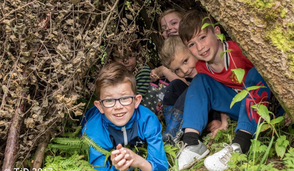 Woodland Survival at Brockholes
