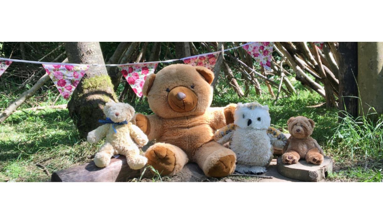 Teddy Bears Picnic at Mere Sands Wood