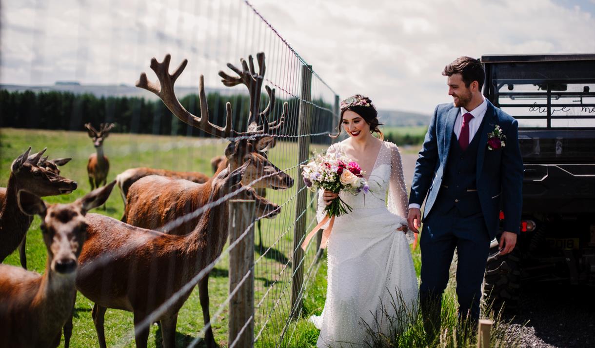 Wedding Open Day