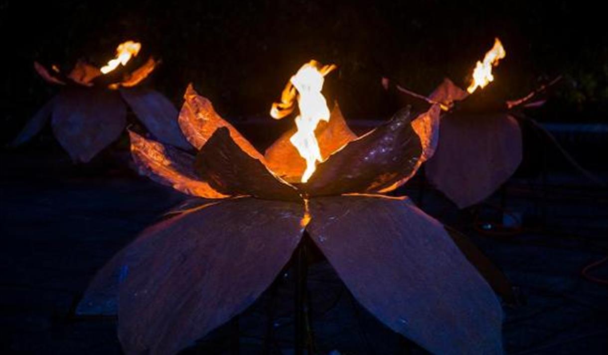 Festive Fire Garden at Avenham and Miller Parks