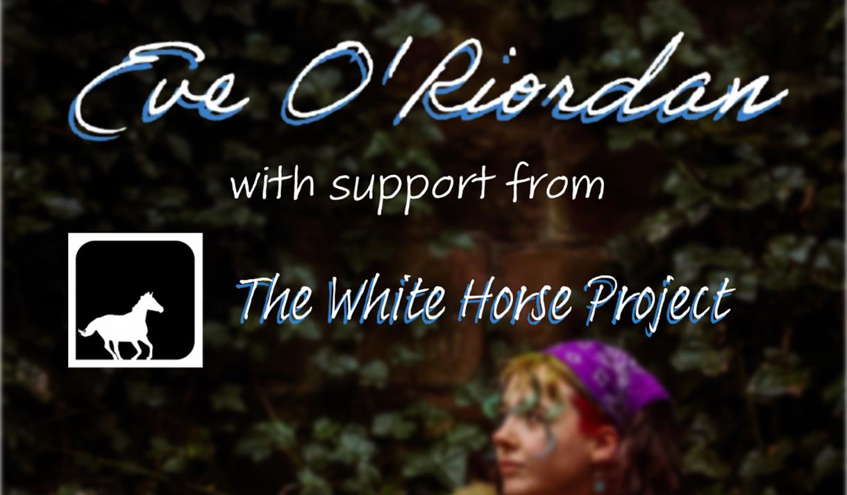Eve O'Riordan fundraiser gig in support of War Child & White Horse Project.