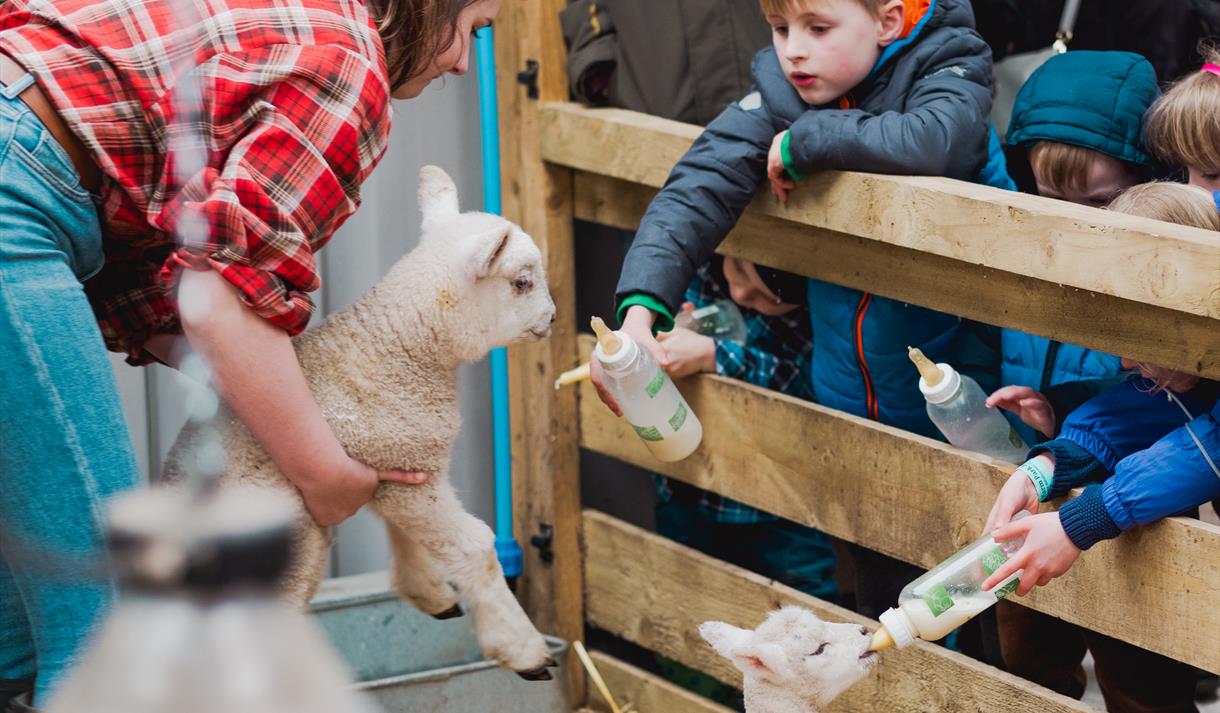 Easter at the Farm 2023