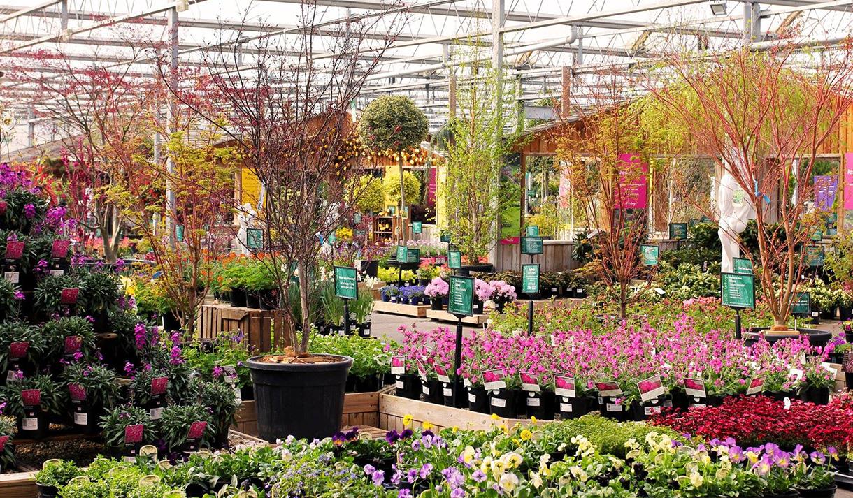 Barton Grange Garden Centre