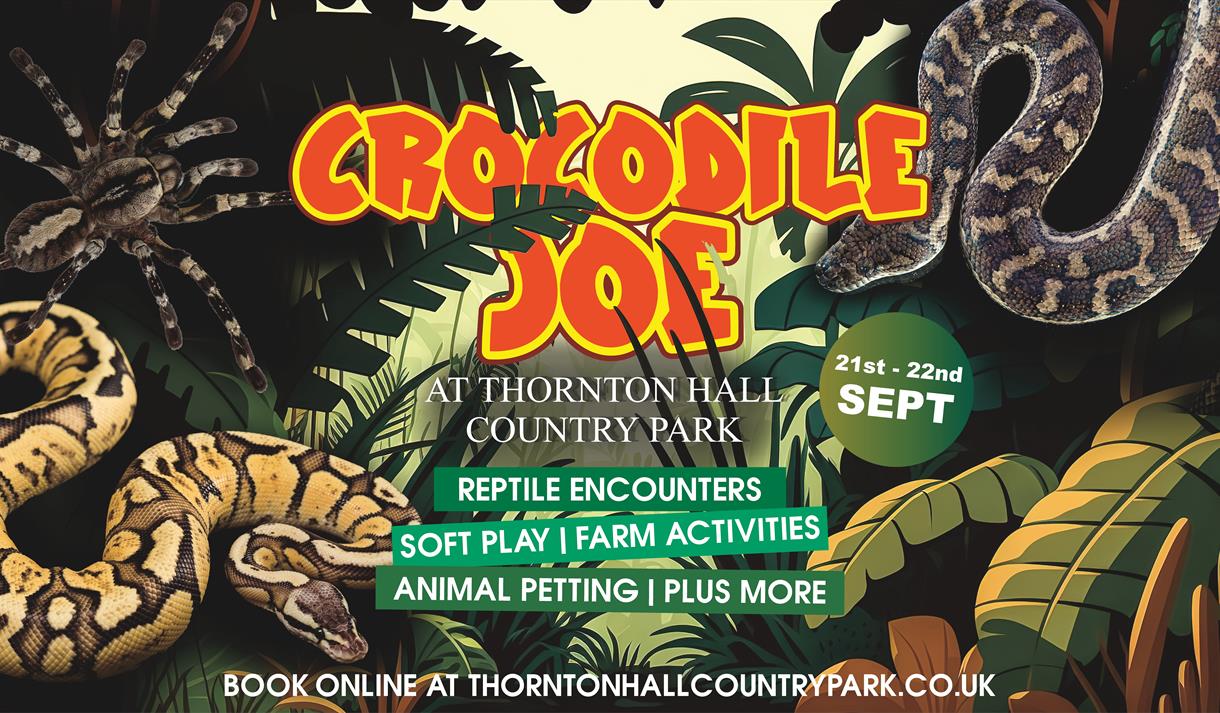 Crocodile Joe
