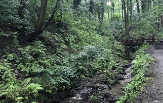 Fairy Glen