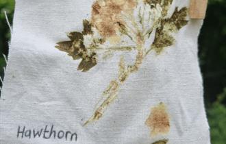 British Textile Biennial: Dye Workshop drop in event