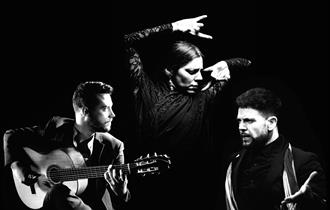 Art of Andalucia (Flamenco Dance): Daniel Martinez