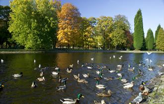 Thompson Park Burnley