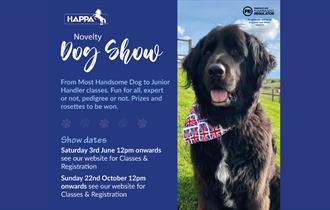 Novelty Dog Show
