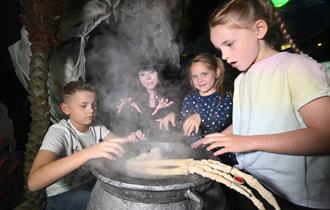 Ascarium: Tricks & Treats at Sea Life Blackpool