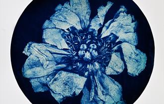 Blue Screen Exhibition