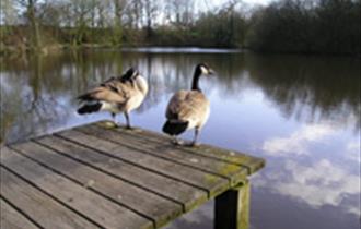 Abbey Lakes