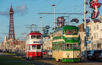 Heritage Trams