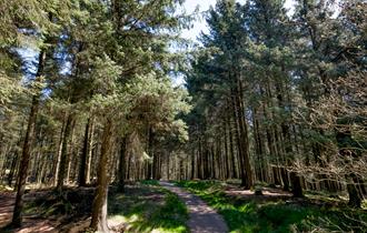 Beacon Fell Country Park