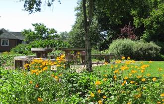 Jean Stansfield Park with benches and yellow flowers