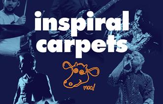 Inspiral Carpets