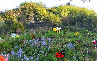 Mini Bug Competition Hunt at Clitheroe Castle Museum