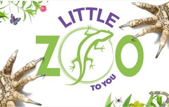 Little Zoo to You