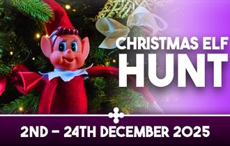 Christmas Elf Hunt