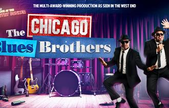 The Chicago Blues Brothers