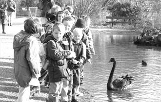 50th Anniversary Exhibition at WWT Martin Mere