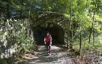 Walking with the Forest of Burnley