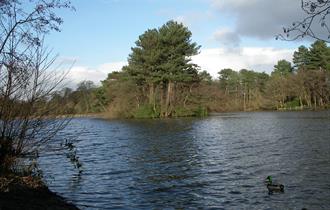 Cuerden Valley Park