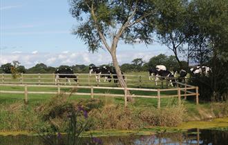 Humblescough Farm