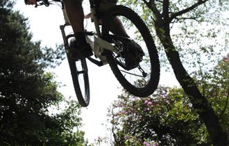 Billinge Wood Mountain Bike Trails