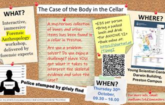The Case of the Body in the Cellar