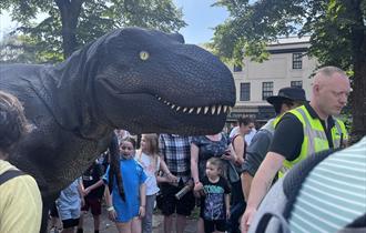 Dino Fest