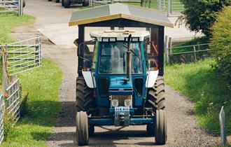 Farmer Ted's Farm Park