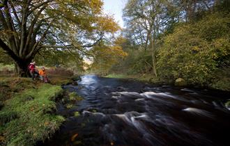 Forest of Bowland