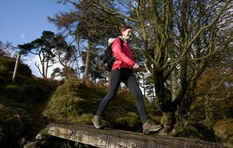 Edisford Bridge to Little Mitton