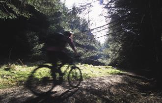 Family Friendly Route - Gisburn Forest