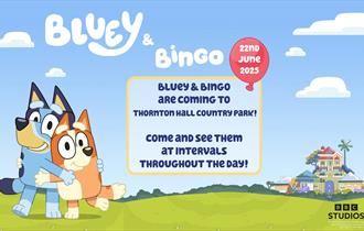 Bluey and Bingo at Thornton Hall Country Park