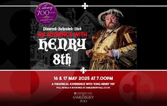 Divorced, Beheaded, Died: An audience with King Henry VIII