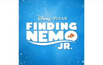 Finding Nemo Jnr (Stage Door Youth Theatre musical)